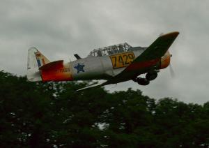 T6